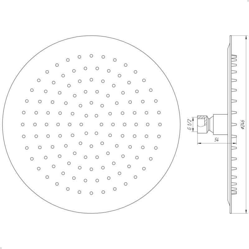 Душевая лейка Globus Lux STS-0250